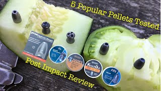 22 Airgun HollowPoint Pellet and Slug Expansion Test [upl. by Hetti]