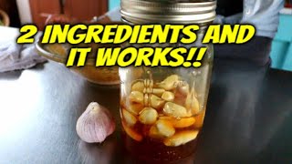 How to make Fermented Honey Garlic  Immune System Booster [upl. by Coridon607]