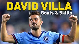 Spanish Legend David Villa Highlights [upl. by Ninos]