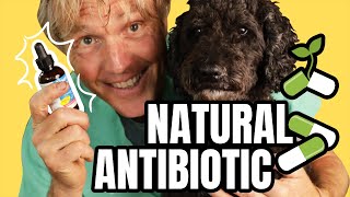 Natural Antibiotics to PREVENT and TREAT Infection [upl. by Fasa]