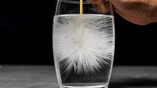 5 AMAZING TRICKS AND EXPERIMENTS  Science Experiments Water tricks Easy Experiments [upl. by Mixie664]