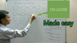 Polysaccharides structure  Cellulose [upl. by Rutger74]