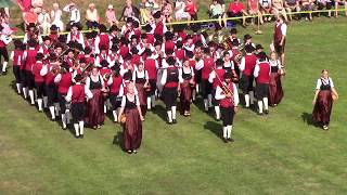 MV Vorderweißenbach beim Bezirksmusikfest in Zwettl [upl. by Laurentium884]