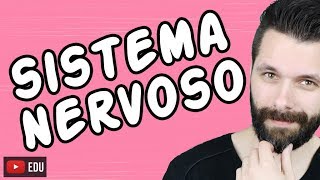 SISTEMA NERVOSO  FISIOLOGIA  Aula  Biologia com Samuel Cunha [upl. by Ewnihc]