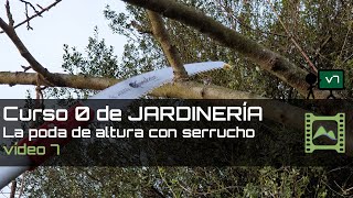 Cómo podar árboles altos con serrucho  Capítulo 7  Curso básico de Jardinería 2020  LdN [upl. by Philbert800]