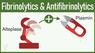 Fibrinolytics amp Antifibrinolytics Pharmacology [upl. by Isidoro]