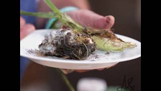 Andrew Zimmern Cooks Corn Huitlacoche [upl. by Everard]