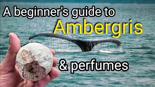 Ambergris in perfumes  A Beginners Guide [upl. by Arvid]