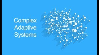 Complex Adaptive Systems [upl. by Ailsa]