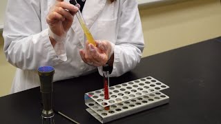 How to Inoculate a Slant  MCCC Microbiology [upl. by Arbrab]