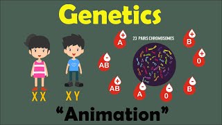 GENETICS  Biology Animation [upl. by Reger]