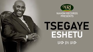 Tsegaye Eshetu – Sew Yala Sew  ሠው ያለ ሠው  Ethiopian Music [upl. by Leira]