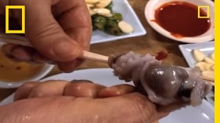 Would You Eat Live Octopus  National Geographic [upl. by Abrams]