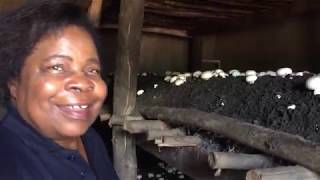 Malawi Farm Tours [upl. by Rakia272]