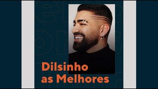 Dilsinho  As Melhores O Melhor do Pagode [upl. by Acemahs41]