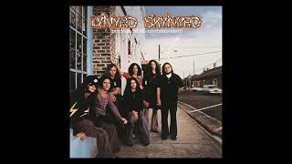 Lynyrd Skynyrd  Simple Man  Main Guitar Track [upl. by Regor225]