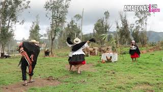 Danzas de Amazonas  EL BRAZO [upl. by Ecarg]