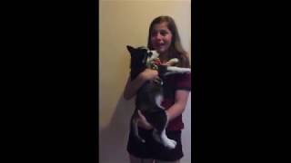 Mom Surprises Daughter With Husky Puppy [upl. by Yemac340]