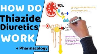 How do Thiazide Diuretics Work  Pharmacology [upl. by Gearard]