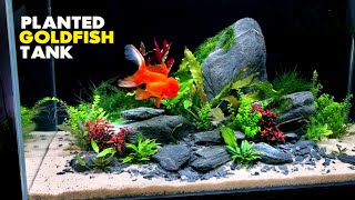 Aquascape Tutorial Fancy Goldfish Planted Aquarium How To Step by Step Build Guide [upl. by Annauqaj124]