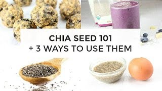 Chia Seed 101  3 Ways To Use Chia Seeds [upl. by Adamina936]