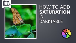 How to Add Saturation in Darktable  Darktable Tutorial 04 [upl. by Brawner]