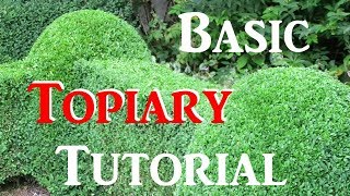 How To Do Basic Topiary  Tutorial [upl. by Aserret616]