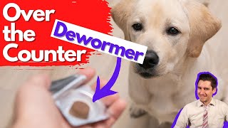 Over the Counter Dog Dewormer Dr Dan talks dewormers [upl. by Adanar]