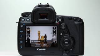 Canon EOS 5D Mark IV Live View AF [upl. by Ainesell]