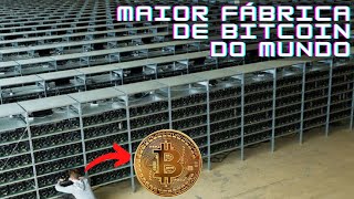 Maiores Mineradoras de Bitcoin do Mundo [upl. by Sivehc932]