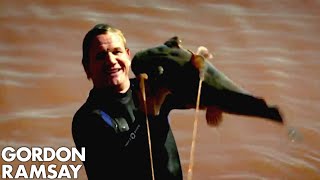 Gordon Ramsay Tries Catching Catfish In Oklahoma  Gordon Ramsay [upl. by Catherina394]