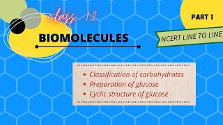 Class 12 Biomolecules  part 1  neet  Tamil  ncert line to line [upl. by Reina]