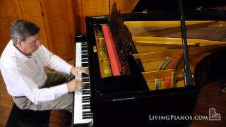 GrotrianSteinweg ArtCase Grand Piano for Sale – Best ArtCase Pianos Online [upl. by Okorih523]