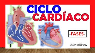 Procedimientos Cardiología Angiotac Coronario Clínica Las Condes [upl. by Ltsyrk]