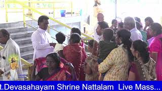 StDevasahayam Shrine Nattalam [upl. by Anaujnas]