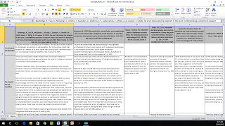 How to Create a Literature Matrix Excel [upl. by Freed149]