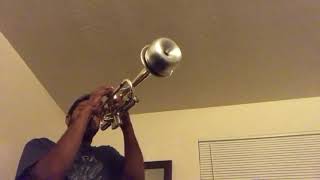 Smooth jazz trumpet with mute [upl. by Kama]