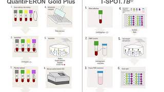 Interferon Gamma Release Assays IGRAs [upl. by Normy652]