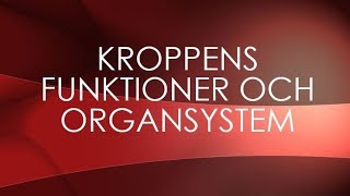 Människokroppen  organsystem [upl. by Leanora]