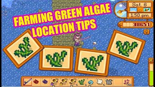 STARDEW VALLEY FARMING GREEN ALGAE TIPS [upl. by Linet]