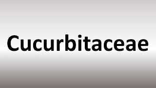 How to Pronounce Cucurbitaceae [upl. by Stringer]