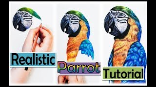 HOW TO DRAW A REALISTIC PARROT  STEPBYSTEP TUTORIAL [upl. by Akihdar]