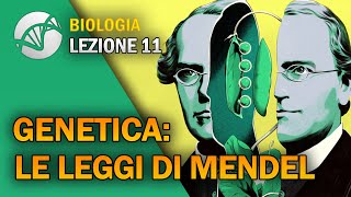 BIOLOGIA  Lezione 11  Genetica Le Leggi di Mendel [upl. by Hepzi]