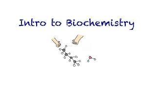 Introduction to Biochemistry [upl. by Jadwiga221]