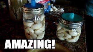 HOW TO FERMENT GARLIC AND WHY RAW FOODHEALTHY [upl. by Vivl]