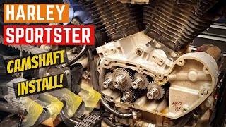 SPORTSTER Camshaft Install HOW TO  In The Shop [upl. by Haynor]