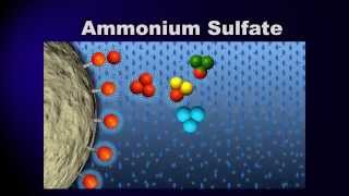 Bioprocessing Part 3 Purification [upl. by Glynias]