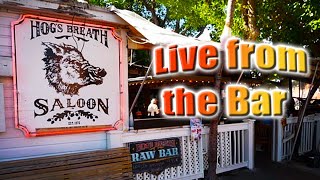 ⭕ Key West LIVE from the Bar 🎵 Hogs Breath Saloon [upl. by Navinod779]