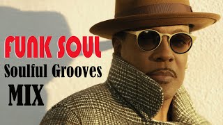 Funky Soulful Grooves Mix [upl. by Aenert577]