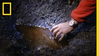 There’s Still Oil on This Beach 26 Years After the Exxon Valdez Spill Part 3  National Geographic [upl. by Mehs]